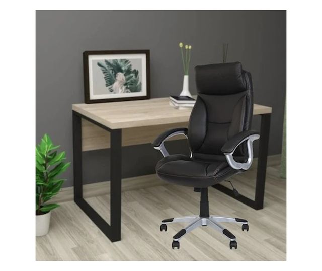 Set od 2 direktorska stolca KAVIS, prirodna koža, crna