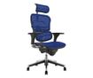 Stolac direktora ERGOHUMAN Plus, mreža Plava, naslon za glavu 2D, lumbalna potpora, podesive 3D ruke