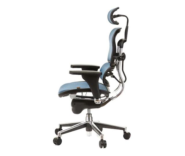 Stolac direktora ERGOHUMAN Plus, mreža Plava, naslon za glavu 2D, lumbalna potpora, podesive 3D ruke