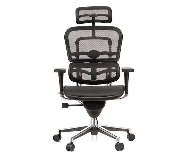 Stolac za upravljanje ERGOHUMAN Plus, mreža Crna, naslon za glavu 2D, lumbalna potpora, podesive 3D ruke