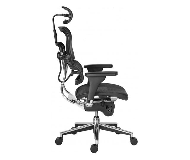 Stolac za upravljanje ERGOHUMAN Plus, mreža Crna, naslon za glavu 2D, lumbalna potpora, podesive 3D ruke