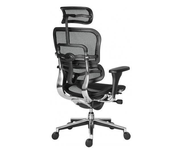 Stolac za upravljanje ERGOHUMAN Plus, mreža Crna, naslon za glavu 2D, lumbalna potpora, podesive 3D ruke