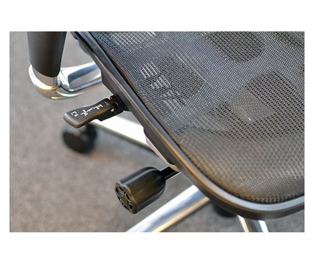 Stolac za upravljanje ERGOHUMAN Plus, mreža Crna, naslon za glavu 2D, lumbalna potpora, podesive 3D ruke