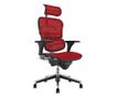 Direktorska stolica ERGOHUMAN Plus, crvena mreža, 2D naslon za glavu, lumbalna potpora, 3D podesivi nasloni za ruke