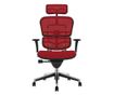 Direktorska stolica ERGOHUMAN Plus, crvena mreža, 2D naslon za glavu, lumbalna potpora, 3D podesivi nasloni za ruke