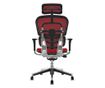 Direktorska stolica ERGOHUMAN Plus, crvena mreža, 2D naslon za glavu, lumbalna potpora, 3D podesivi nasloni za ruke