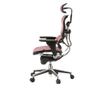 Direktorska stolica ERGOHUMAN Plus, crvena mreža, 2D naslon za glavu, lumbalna potpora, 3D podesivi nasloni za ruke