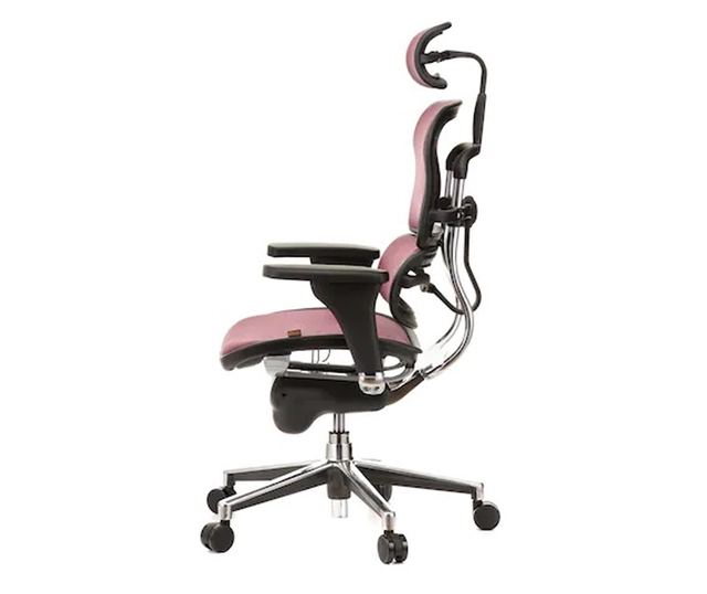 Direktorska stolica ERGOHUMAN Plus, crvena mreža, 2D naslon za glavu, lumbalna potpora, 3D podesivi nasloni za ruke