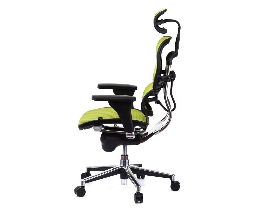 Upravljačka stolica ERGOHUMAN Plus, mreža Zelena, 2D naslon za glavu, lumbalna potpora, 3D podesive ruke - 6