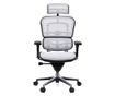 Upravljačka stolica ERGOHUMAN Plus, mreža Bijela, 2D naslon za glavu, lumbalna potpora, 3D podesive naslone.