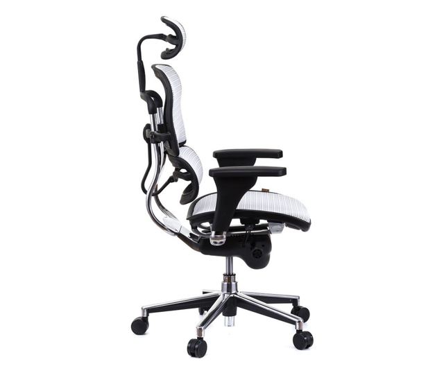 Upravljačka stolica ERGOHUMAN Plus, mreža Bijela, 2D naslon za glavu, lumbalna potpora, 3D podesive naslone.
