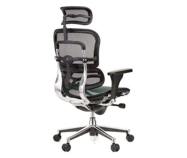 Stolac direktora ERGOHUMAN Plus, mreža tamno zelena, 2D naslon za glavu, lumbalna potpora, 3D podesive ruke