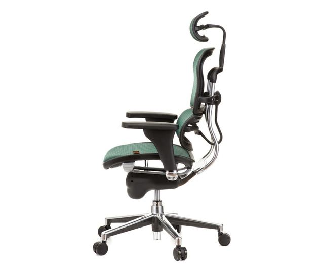 Stolac direktora ERGOHUMAN Plus, mreža tamno zelena, 2D naslon za glavu, lumbalna potpora, 3D podesive ruke