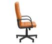 Direktorska stolica PROFESSIONAL, svijetlosmeđa eko koža