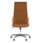 Scaun direktora IMIS, Svijetlosmeđa ekološka koža