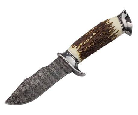 IdeallStore® vadászkés, Ancestral Blade, 23 cm, rozsdamentes acél, bézs, hüvely mellékelve