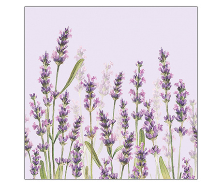Servetele de masa, 33x33 cm, Lavender shades lila, Ambiente