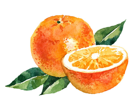 Szerves C 500 - kétféle C-vitamin gyomorkímélő - 100 rágótabletta - narancs - Natur Tanya