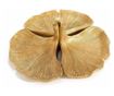 Διακοσμητικός Δίσκος Ginko Golden από Πολυρητίνη 24x8 εκ.