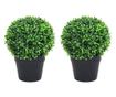 Umjetne biljke šimšira s loncem, 2 kom. zelene 37 cm kugla thumbnail 1