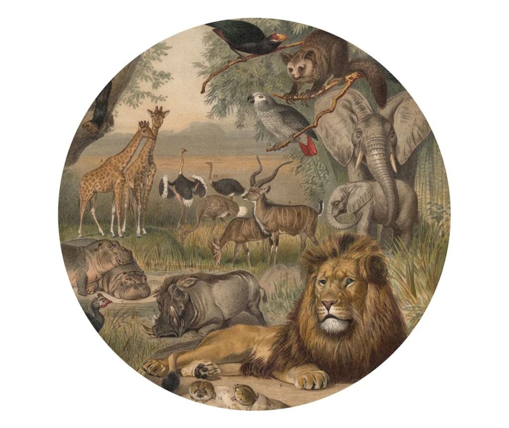 Tapeta ścienna w kształcie koła „Zwierzęta Afryki”, 142,5 cm - 2