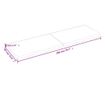 Vilgosbarna 200x60x6 cm-es tlgy tmrfa polc