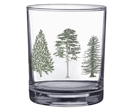 Set od 6 staklenih čaša Tree 7x9 cm, 230 ml