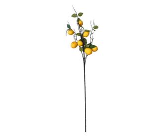 Limun na grani 93 cm