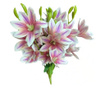 Маргаритки в лилав цвят с бели детайли 60 см