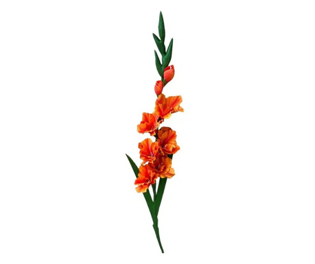 Gladiole de culoare portocalie 90 cm