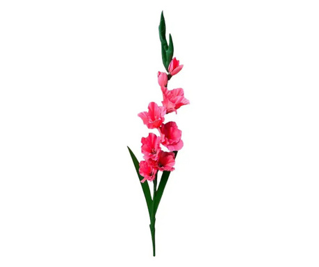 Gladiola u roza boji 90 cm