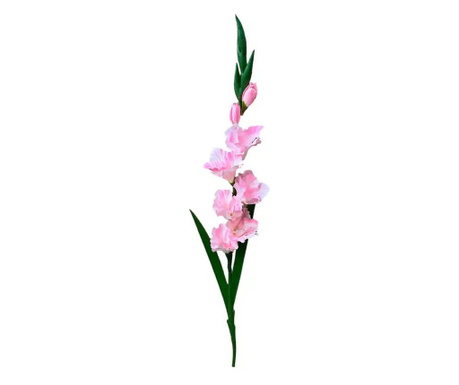 Gladiola de culoare roz deschis 90 cm