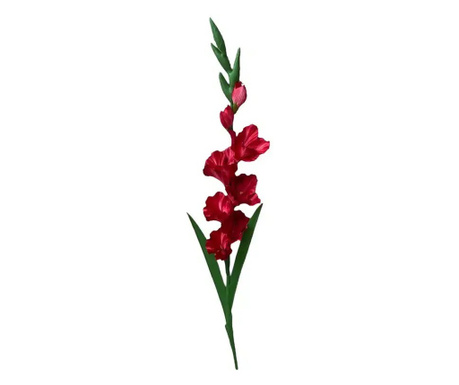 Gladiola u crvenoj boji 90 cm