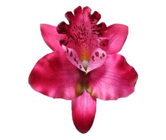 Floricica pentru copii THK de pus in par,  rosie