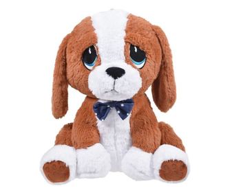 Caine din plus, ochi albastri, urechi lungi, 50 cm, alb cu maro