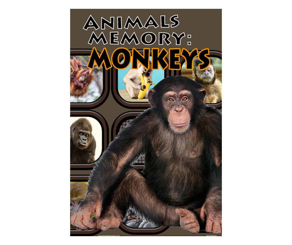 Animals Memory: Monkeys - Vivre
