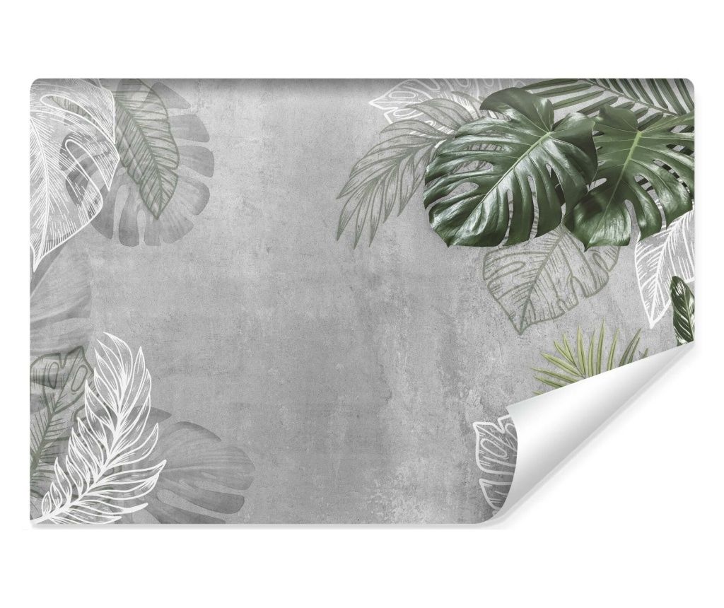 Fototapet Frunze, Monstera in verde pe fond de beton, in stil modern, pentru dormitor, living  368x254cm