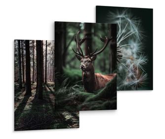 Sada 3 Obraz Canvas les divoká příroda jelen pampeliška dekorace příroda ideální do obývacího pokoje s 3D efektem  90x40