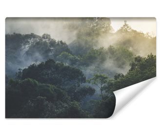 Fototapeta Mlžné lesní stromy tropická dekorace příroda 3D efekt pro obývací pokoj  450x300cm