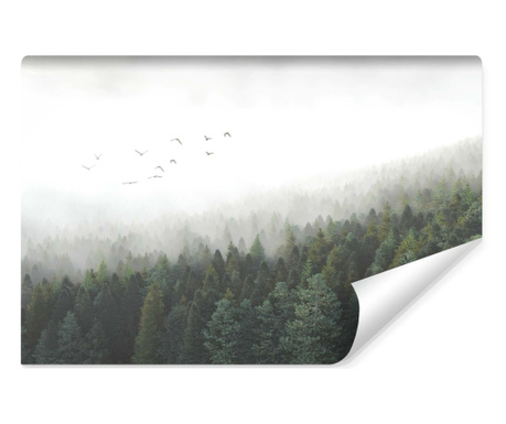 Fototapet peisaj natural, pasari deasupra varfurilor copacilor intr-o dimineata ceata, stil modern  405x270cm