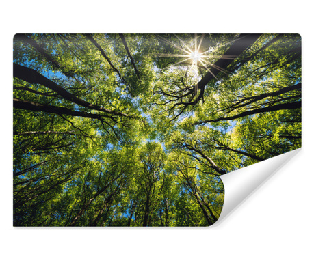 Fotótapéta Kilátás a fák tetejére a zöld erdőben Vlies, Természet táj, Design modern
