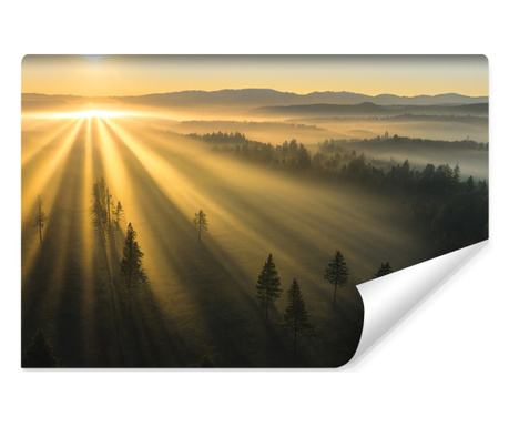 Fotótapéta Napkelte a ködös erdő felett Vlies, Modern kivitelben, Fali dekoráció