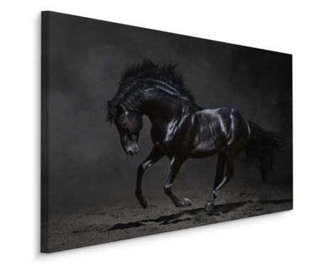 Vászonkép Vágtázó gyönyörű fekete ló