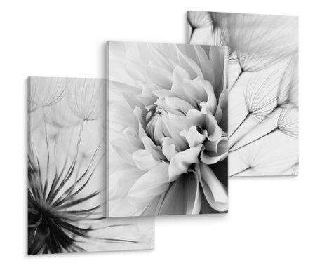 3 db-os dekoratív festmény készlet fekete-fehér virágok, pitypang magok 90x40