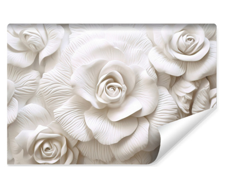 Fototapet Muralo trandafiri din ipsos alb sculptat dormitor