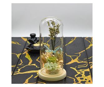 Флорална аранжировка в стъкления купол, Led светлина, D4048, Зелена, 10x25 см