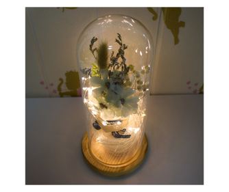 Цветна аранжировка в стъклен купол, LED светлина, D4049, Сини цигулки