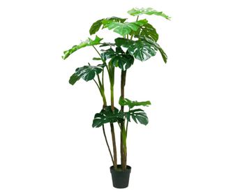 Copac artificial 15 frunze, Monstera cu ghiveci D3065, verde, 160 cm
