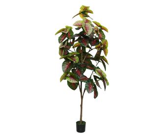 Изкуствено растение, Алокасия в саксия, D4288, 200см, зелено/червено
