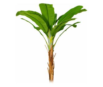 Copac artificial, Banan Musa fara ghiveci, Naimeed D5648, 233x95 cm, Verde